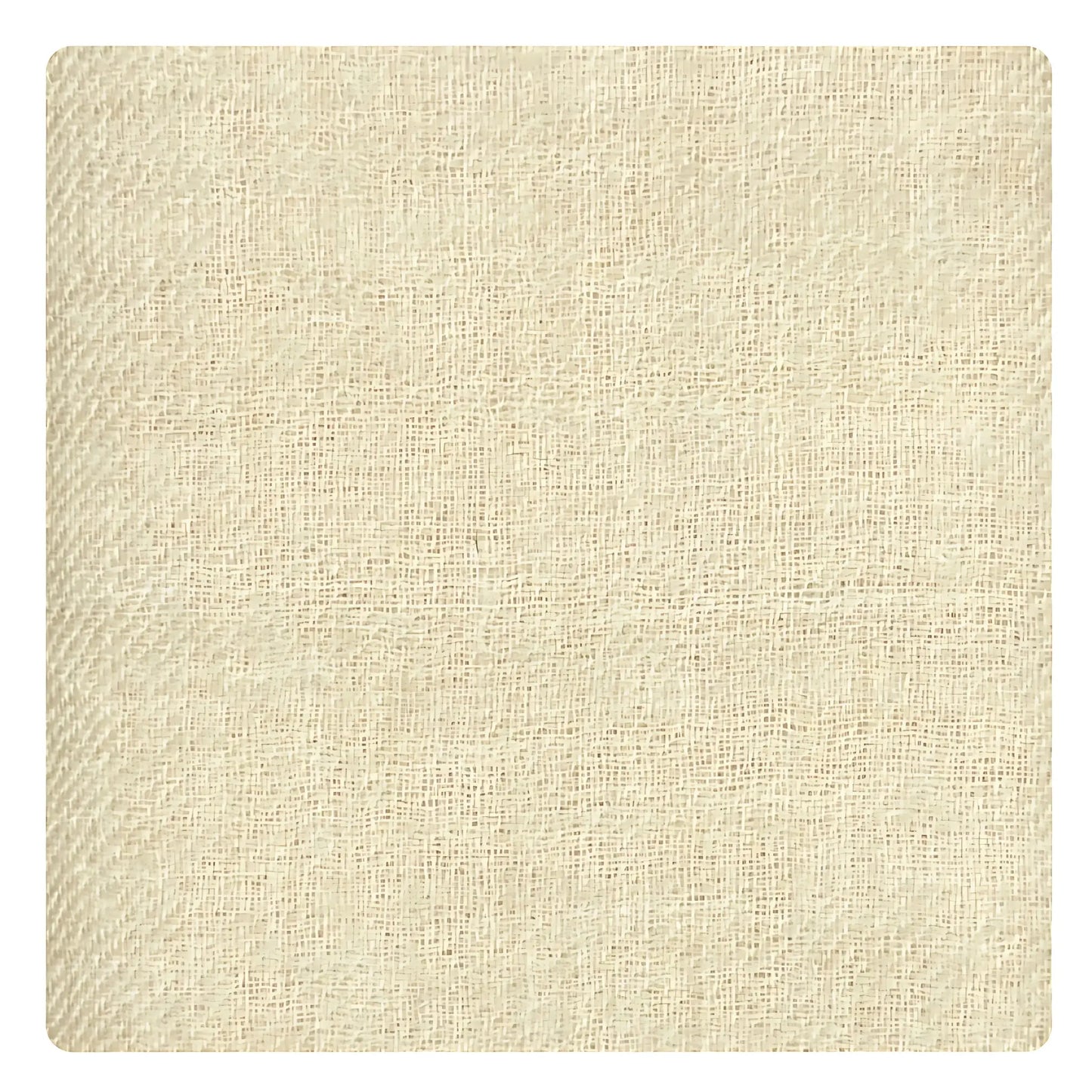 Unisex Pashmina Stole